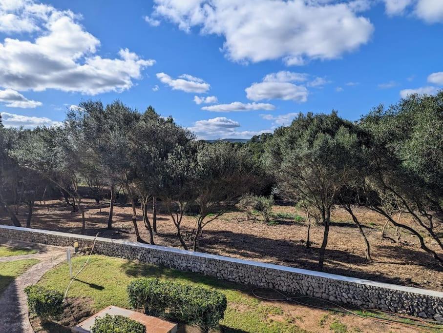 Ferienwohnung Bella Brisa, Port D'Addaia Exterior foto